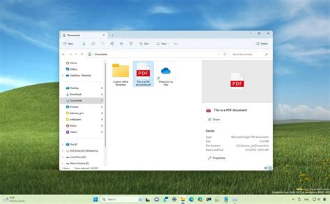 File Explorer 00 的图像结果