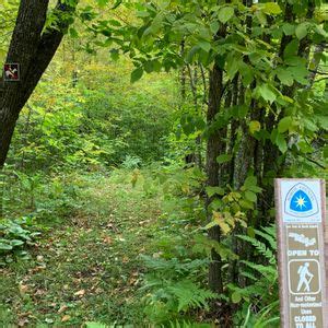National Trails Day at Shingobee Hills Recreation Area, Shingobee Hills ...