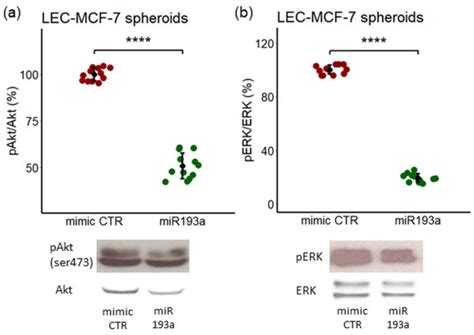Transcriptomic and Functional Evidence That miRNA193a-3p Inhibits ...