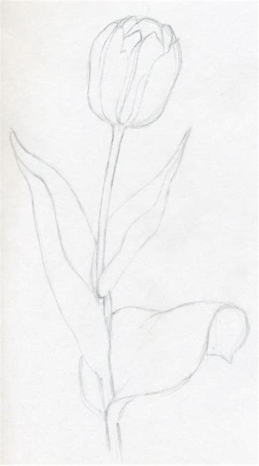 tutorial draw pencil on the paper