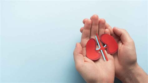 Síntomas de Riñones Inflamados: Causas y Tratamientos