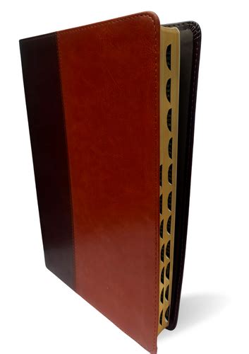 Buy NLT Bibles Online India at Best Price – www.ashabooks.com
