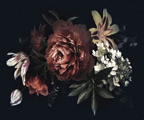 Dark Floral Wallpapers - 4k, HD Dark Floral Backgrounds on WallpaperBat