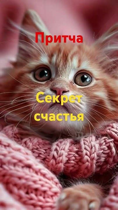 Притча.Секрет счастья!!! - YouTube