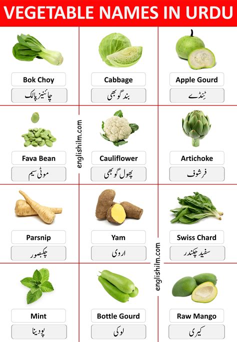 48 Vegetable Names In English with Urdu Meanings and Images