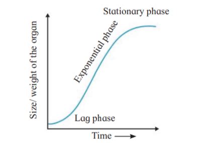 Maharashtra Board Class 12 Biology Chapter 7 Plant Growth and Mineral ...