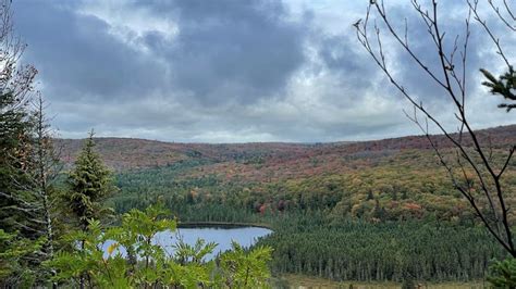 Fall colors in Minnesota: Where to see the best fall foliage | FOX 9 ...