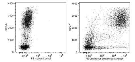 PE Rat Anti-Human Cutaneous Lymphocyte Antigen