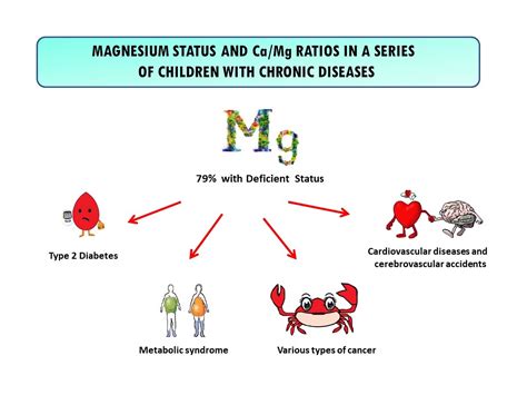 Magnesium And Calcium Levels In Blood at Leo Stonham blog