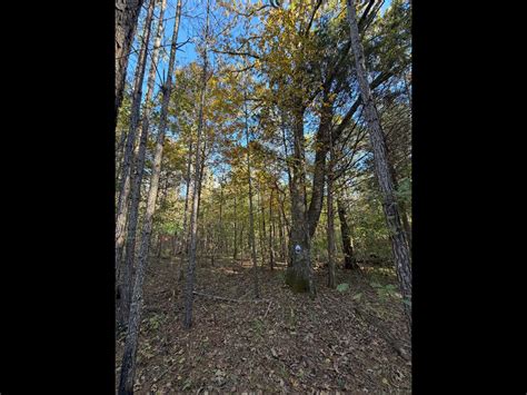 Oktibbeha 37.83 | Oktibbeha County | Sturgis, MS