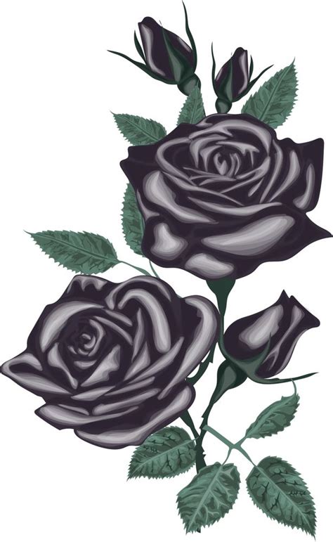 rose drawing on black paper