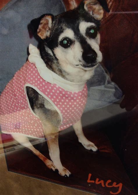 Client & Employee Pet of the Month! | Read More | April