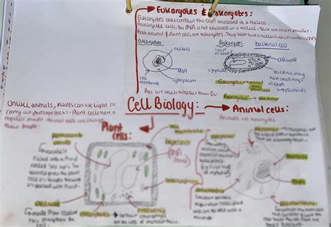 Biology Mind Map 的图像结果