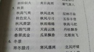 上海人只会说写不出的24个字，原来真的有文字！ 只有老上海才看得懂