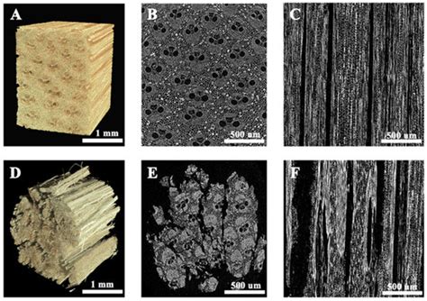 The Separation Mechanism of Bamboo Bundles at Cellular Level