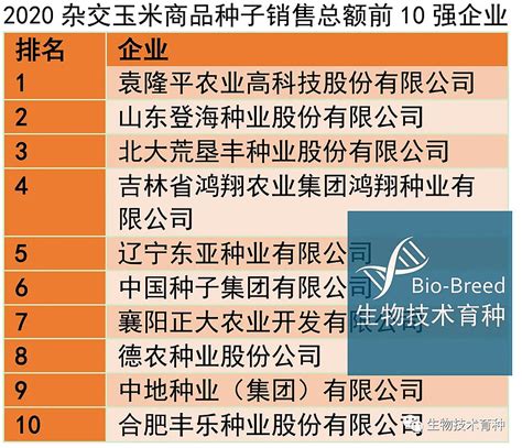 51家央企上榜《2021中国品牌500强》 国家电网、中国移动等4家位列前10强__财经头条