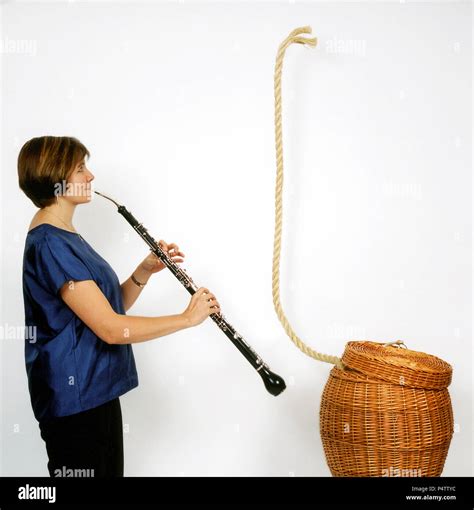 What Does A Cor Anglais Look Like at Eva Harpur blog