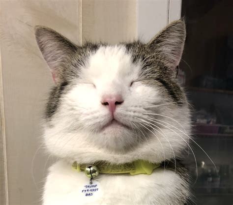 Beverly Animal Shelter | The animals thank you so much for all you do