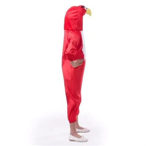 Buy Angry Bird Dress For Boys and Girls online at lowest price ...