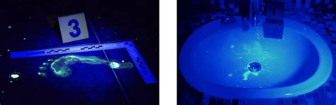 Preliminary Blood Tests in Forensic Investigations — Scientist who draws