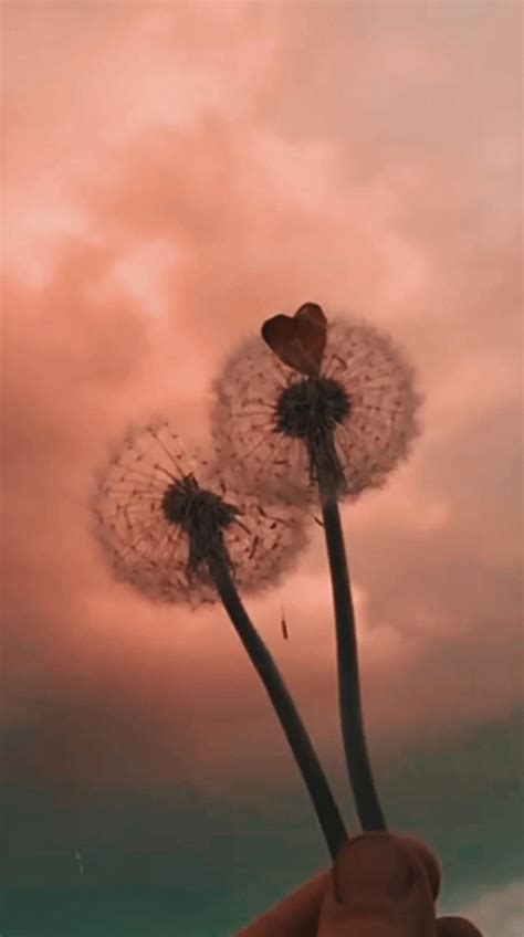 Gif Vintage Aesthetic Live Wallpaper