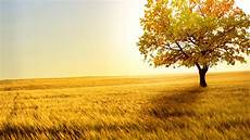 Desktop Free Wallpapers by Free Wallpapers Best Wallpapers Desktop Free Wallpapers