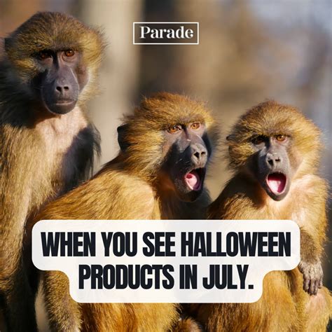 35 Funny July Memes - Parade