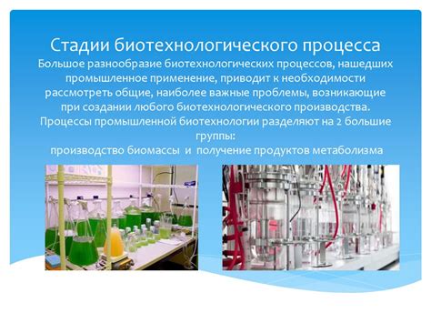 Биотехнологические стадии промышленного производства - презентация онлайн