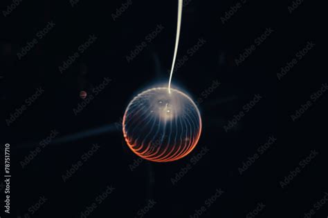 Electricity Ball 的图像结果