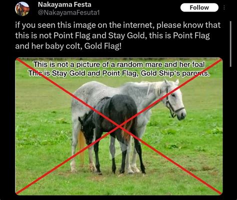 Image result for Is Node.js JavaScript