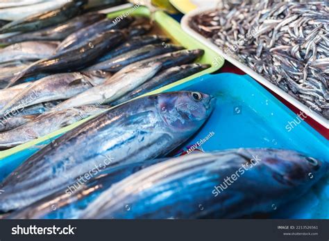 Tuna Mackerel Known Tulingan Philippines Sale Stock Photo 2213526561 ...