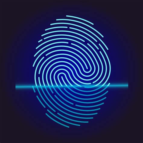 Embedding Vector 的图像结果