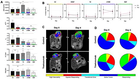 Multiparametric Analysis of PET and Quantitative MRI for Identifying ...