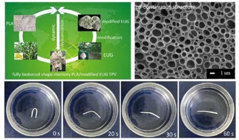 Fully Biobased Shape Memory Thermoplastic Vulcanizates from Poly(Lactic ...