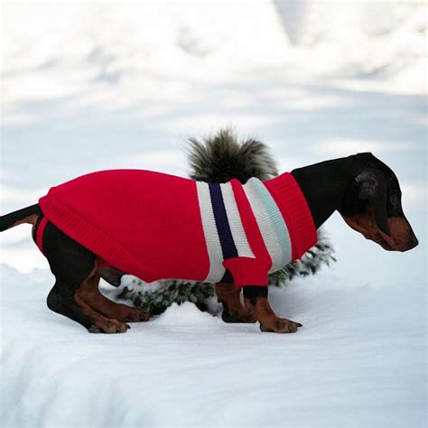 Clothes for Dachshunds | Sweaters & Coats for Doxies – Dachshund Shop