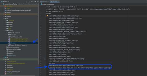 Flutter App Tracking Transparency 的图像结果