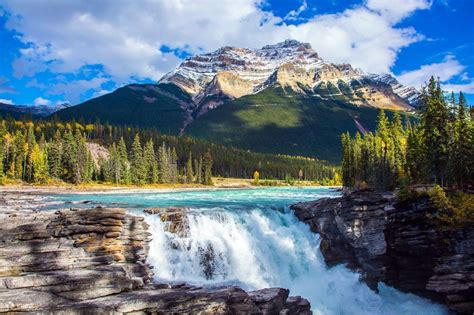 Abraham Ice Bubble & Sunwapta Falls, Icefield and Peyto Lake tour ...