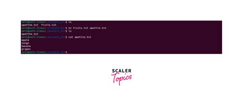 Linux File Manipulation 的图像结果