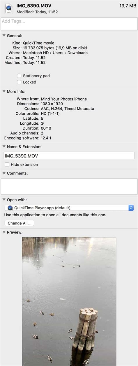 Video Metadata 的图像结果