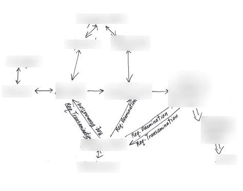 Biochemistry Process Map 的图像结果