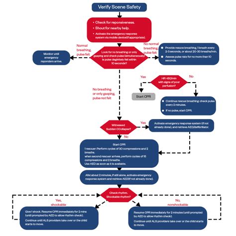 BLS Algorithm: Essential Guide to Basic Life Support Techniques