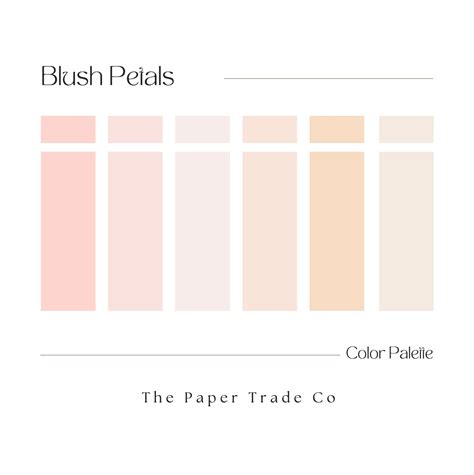 Blush Pink Color Palette