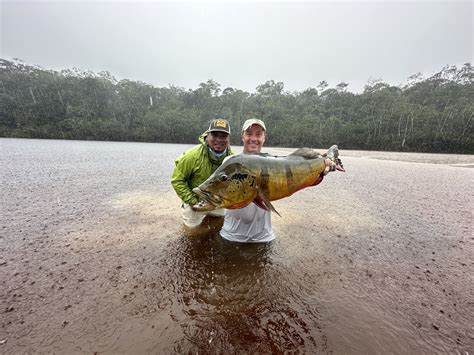 Breaking News: A New IGFA World Record for the Largest Peacock Bass! It ...