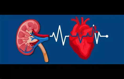Prioritize Sustained decongestion over preserving kidney function in ...
