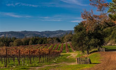 Best Sonoma Wineries