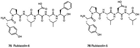From Plant to Chemistry: Sources of Active Opioid Antinociceptive ...