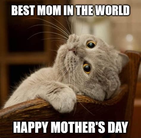 Mother's Day Memes at Jacob Lutz blog