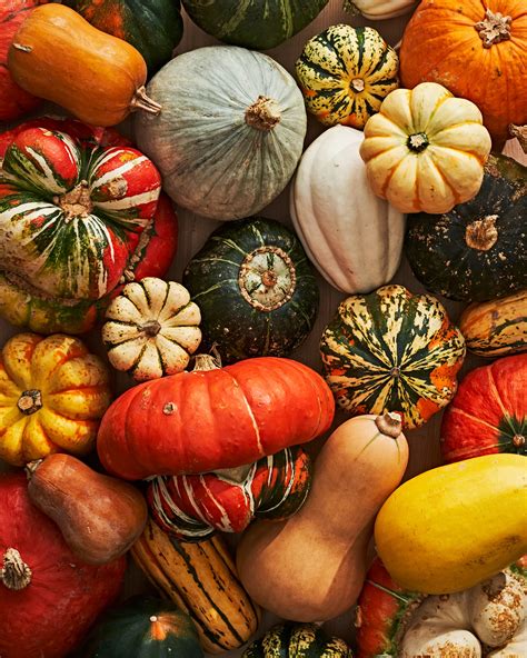 Squash Vegetable Types