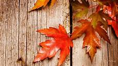 Rustic Country Fall Backgrounds by Rustic Autumn Hd Desktop Wallpaper Widescreen High Rustic Country Fall Backgrounds
