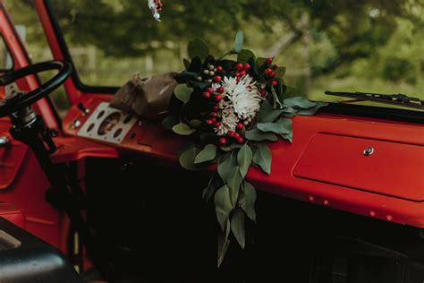 Tendon vs Ligament: Understanding the Key Differences